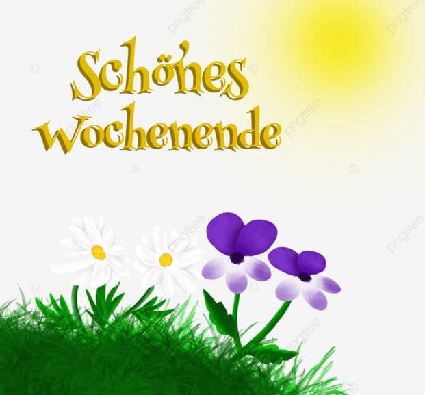 دورات نهاية الأسبوع